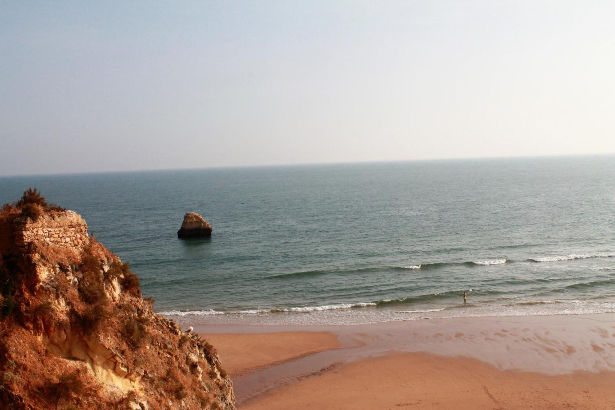 Praia Da Rocha, Vila Rosa, T1, Piscinas, Parqueamento E Internet By Ig Portimão Exteriör bild